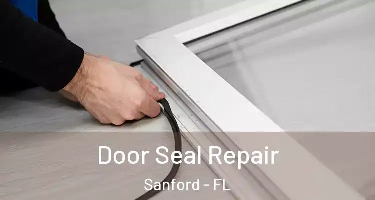  Door Seal Repair Sanford - FL